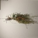 想いを形にできるお花屋さん目指しませんか？の講座の風景