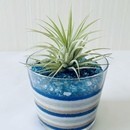 すずのね 平安 creation 空の講座の風景