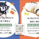 イラストレーターを使いこなしてものづくりを楽しむの講座の風景