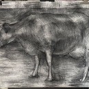 描いていいとも！下手でも絵は描けるの講座の風景