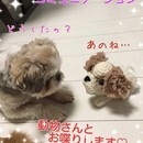 大切なペットさんとお話するためのオンラインレッスンの講座の風景
