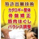 日本カタロギー整体協会の開催する講座の風景