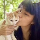 猫とあなたの幸せな共生をサポートしますの講座の風景
