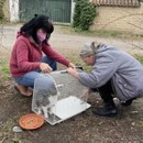 猫とあなたの幸せな共生をサポートしますの講座の風景