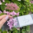 つまみ細工を鎌倉生まれのBlossomArtでの講座の風景