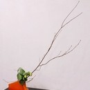 お花のあるくらし いけばな、フラワー教室の講座の風景