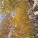 世界を変える☆フランス語レッスン　の講座の風景