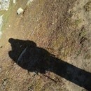 世界を変える☆フランス語レッスン　の講座の風景