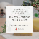 犬との暮らしをもっと楽しむワークショップの講座の風景