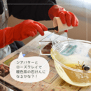 犬との暮らしをもっと楽しむワークショップの講座の風景