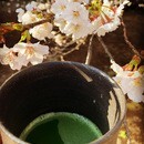 心と体を整える　癒しの”茶道”　有庵茶道教室の講座の風景