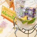 あなたも家庭のハーバリストに！ハーブの薬箱レッスンの講座の風景