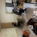大学講師が教える書道教室の講座の風景