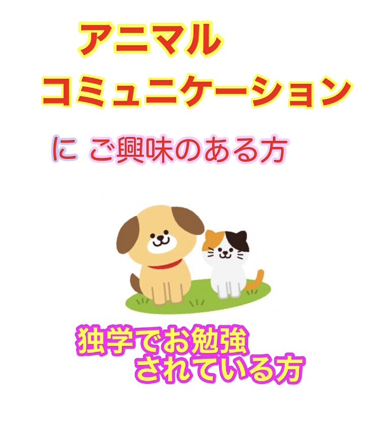 藤原和恵の大切なペットさんとお話するためのオンラインレッスン