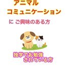 大切なペットさんとお話するためのオンラインレッスンの講座の風景