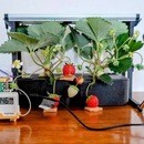 モノ作りとマーケティングの講座の風景