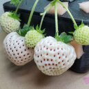 モノ作りとマーケティングの講座の風景