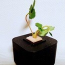 モノ作りとマーケティングの講座の風景