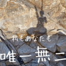 【身体】スッキリ！【心】軽やか！しなやかな自分軸の講座の風景