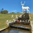 【身体】スッキリ！【心】軽やか！しなやかな自分軸の講座の風景