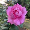 人間関係の悩みと心の整理を支援する公認心理師の講座の風景