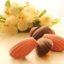 季節感あふれるお菓子作りを応援！の講座の風景