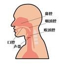 40代からの愛され声の作り方♦️顔ヨガボイトレ講座の講座の風景