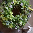 ワンランク上の寄せ植え体験の講座の風景