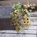 ワンランク上の寄せ植え体験の講座の風景