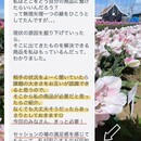 潜在能力開花マインド&ビジネスコーチの講座の風景