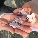 大人の親子関係が良くなれば世の中はもっと良くなる🌏の講座の風景