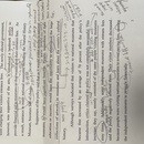 英語という言語を多角的に一緒に楽しみましょうの講座の風景