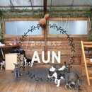 森の中でタップダンスレッスン！の講座の風景