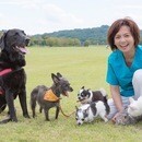 今すぐ始めよう！自宅で学ぶドッグマッサージ講座の講座の風景