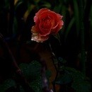 🎈ママと私のお絵描き講座　娘の気配りにびっくり！の講座の風景