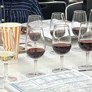 イタリアワインソムリエを目指す!　料理講座も！の講座の風景