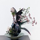 気分リフレッシュ　草月いけばな「成城花のアトリエ」の講座の風景