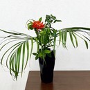 気分リフレッシュ　草月いけばな「成城花のアトリエ」の講座の風景