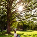 マヤ暦✖️チャクラ✖️香りで癒しを起こす専門家の講座の風景