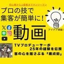 動画は会話　英会話レッスンのような動画レッスンをの講座の風景