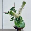 気分リフレッシュ　草月いけばな「成城花のアトリエ」の講座の風景