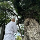 古来の参拝方法を伝授しあなたを開運に導きますの講座の風景