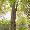 占いを通して楽しい人生を送れるように応援していますの講座の風景