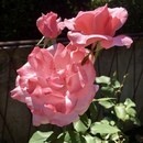 決められなくなる構造を整理し、自己決定へ導きます！の講座の風景