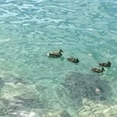 決められなくなる構造を整理し、自己決定へ導きます！の講座の風景