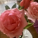 決められなくなる構造を整理し、自己決定へ導きます！の講座の風景