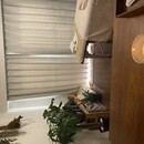 セラピストさん♪解剖学アレルギーを克服しよう！の講座の風景