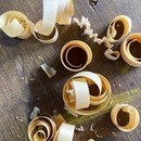自然の恵みを手に、木工の楽しさを再発見しよう」の講座の風景