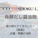 改善を目的とするセラピストの講座の風景