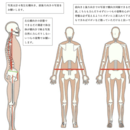 美姿勢の作り方と効率的自主トレは一生物のスキル！の講座の風景